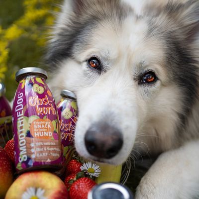 Smoothie Dog - Smoothie pour chiens 250mL