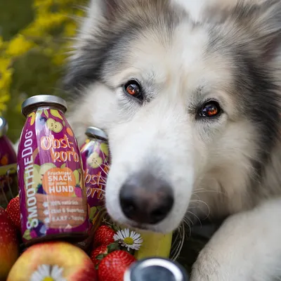 Smoothie Dog - Smoothie pour chiens 250mL Smoothie Dog - Smoothie pour chiens 250mL