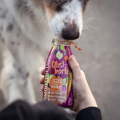 Smoothie Dog - Smoothie pour chiens 250mL Smoothie Dog - Smoothie pour chiens 250mL