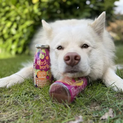 Smoothie Dog - Smoothie pour chiens 250mL Smoothie Dog - Smoothie pour chiens 250mL