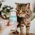SmoothieCat – Smoothie pour chats 150mL