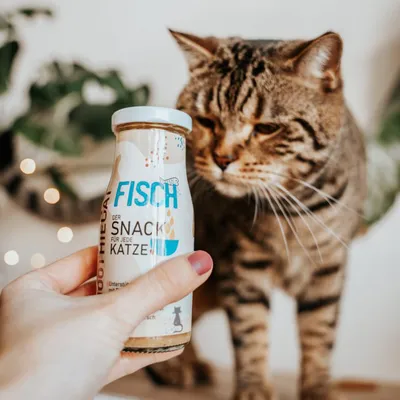 SmoothieCat – Smoothie pour chats 150mL