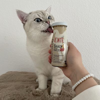 SmoothieCat – Smoothie pour chats 150mL