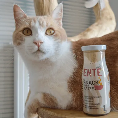 SmoothieCat – Smoothie pour chats 150mL