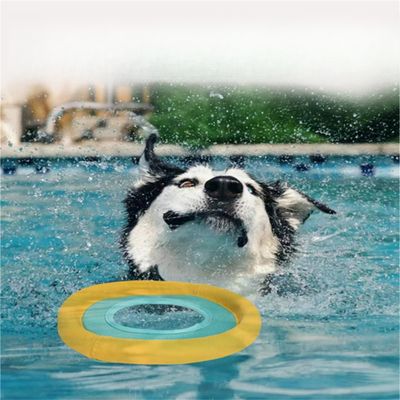 IntiMeg Disque volant pour animaux de compagnie