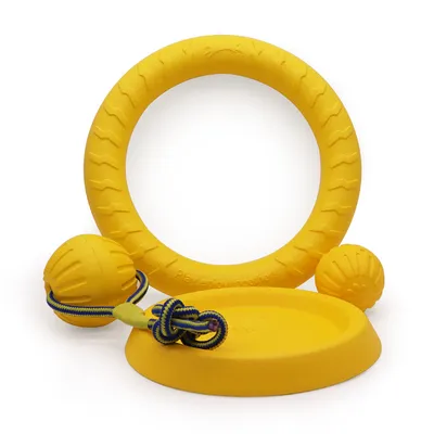 IntiMeg Ensemble de 4 jouets pour chien
