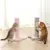 IntiMeg Griffoir en sisal pour chat