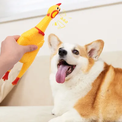 IntiMeg Jouet sonore de poulet hurlant