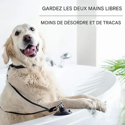 IntiMeg Attache de bain pour chien en nylon doux