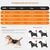 IntiMeg Gilet de sauvetage pour chien