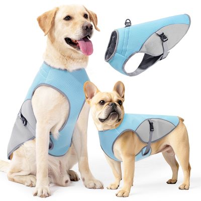 IntiMeg Veste Rafraichissante pour Chien