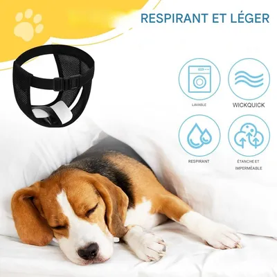 IntiMeg Couches pour chiens