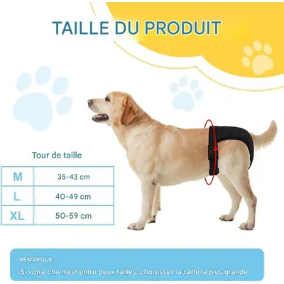 IntiMeg pañales para perros
