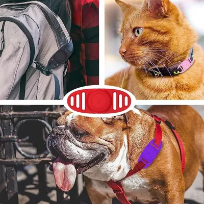 IntiMeg Couches pour chiens