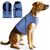 IntiMeg Vêtements de confort pour animaux de compagnie