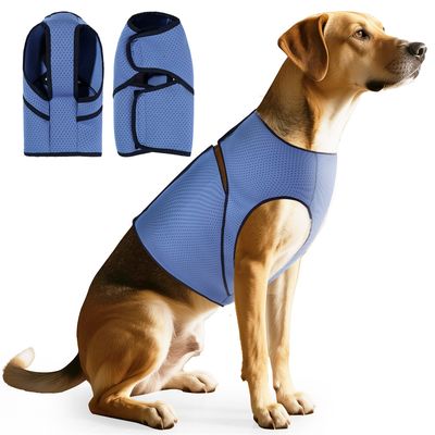 IntiMeg Vêtements de confort pour animaux de compagnie