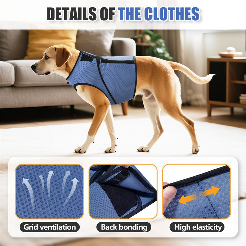 IntiMeg Vêtements de confort pour animaux de compagnie