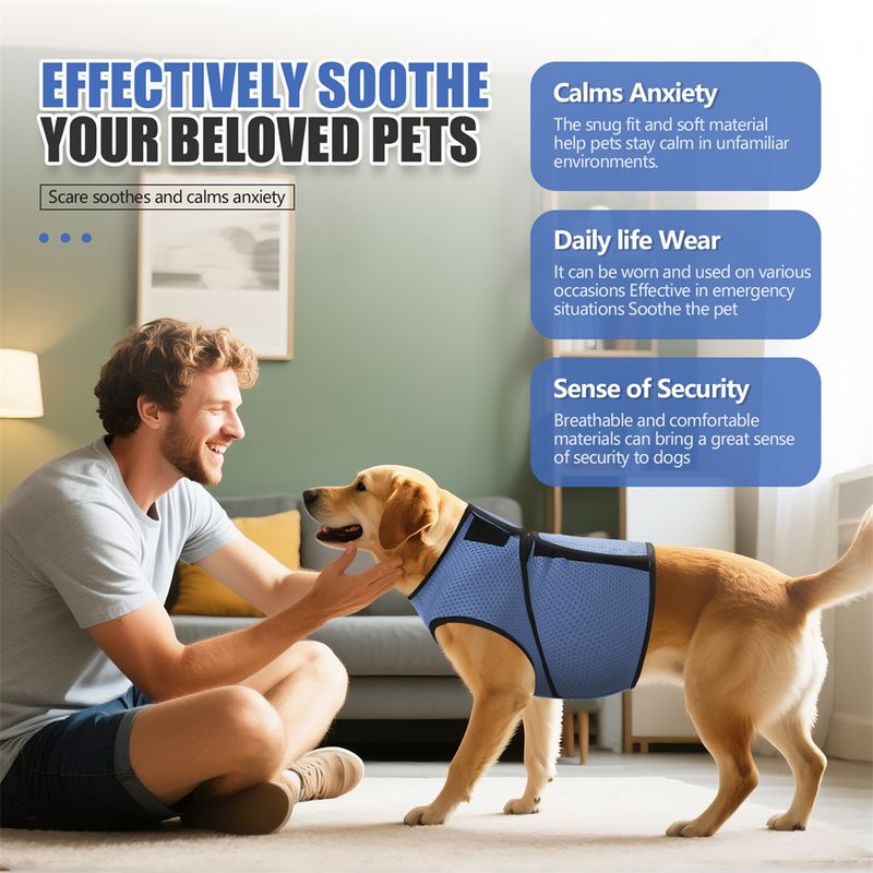 IntiMeg Vêtements de confort pour animaux de compagnie