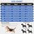 IntiMeg Vêtements de confort pour animaux de compagnie