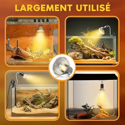 IntiMeg Ampoules 50W Dimmables pour Reptiles