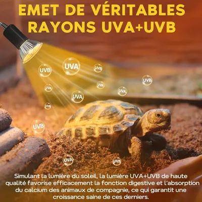 IntiMeg Ampoules 50W Dimmables pour Reptiles