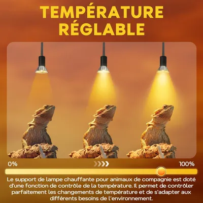 IntiMeg Ampoules 50W Dimmables pour Reptiles
