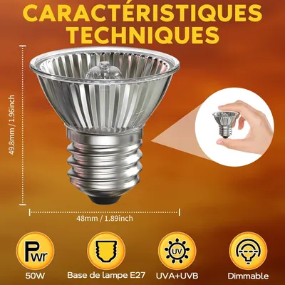IntiMeg Ampoules 50W Dimmables pour Reptiles