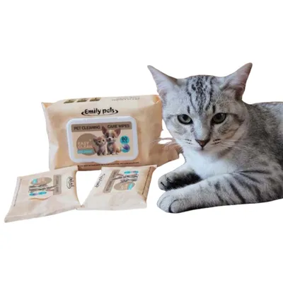 IntiMeg  Lingettes nettoyantes pour chats et chiens