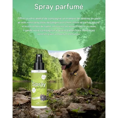IntiMeg Parfum pour animaux de compagnie