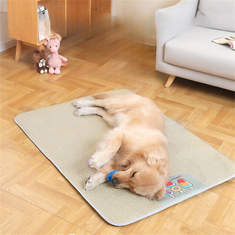 IntiMeg - Tapis d'été en rotin pour chiens et chats