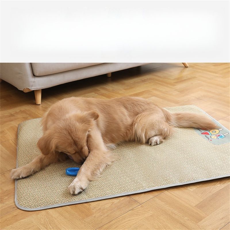 IntiMeg - Tapis d'été en rotin pour chiens et chats
