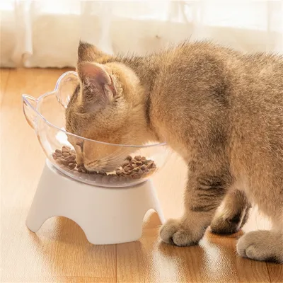 IntiMeg Bol transparent avec oreilles de chat