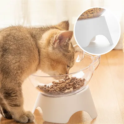 IntiMeg Bol transparent avec oreilles de chat