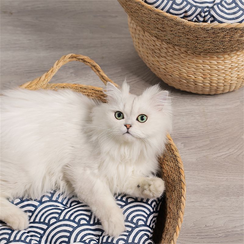 IntiMeg  Nid pour chat - En rotin
