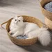IntiMeg  Katzenbett – Aus Rattan