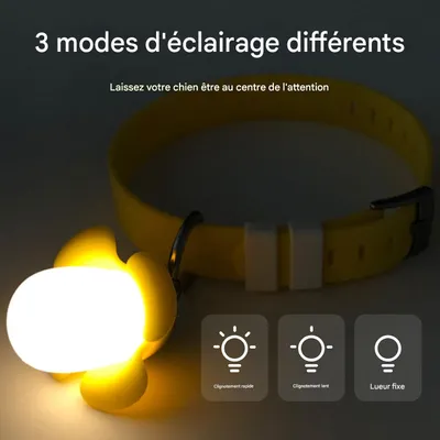 IntiMeg Collier lumineux pour animal de compagnie
