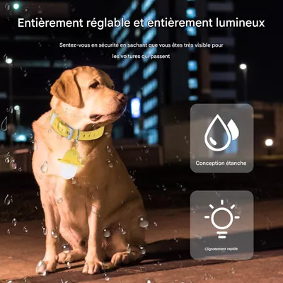 IntiMeg Collier lumineux pour animal de compagnie