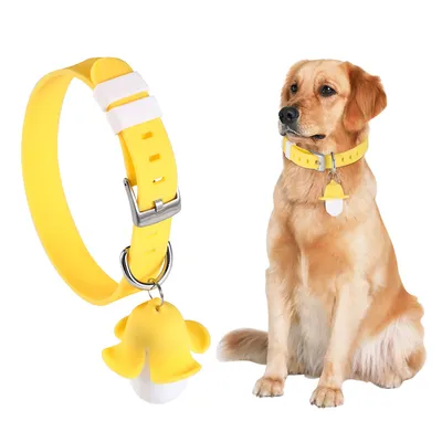 IntiMeg Collier lumineux pour animal de compagnie