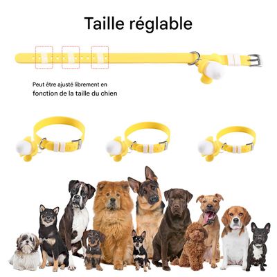 IntiMeg Collier lumineux pour animal de compagnie