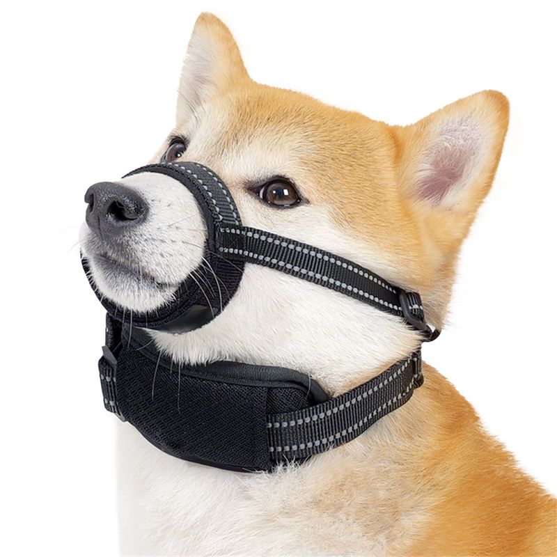 IntiMeg Muselière antidérapante pour chien