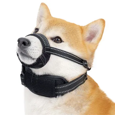 IntiMeg Muselière anti-morsure pour chien