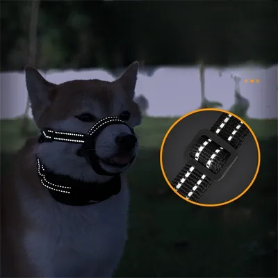 IntiMeg Muselière antidérapante pour chien