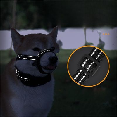 IntiMeg Muselière antidérapante pour chien
