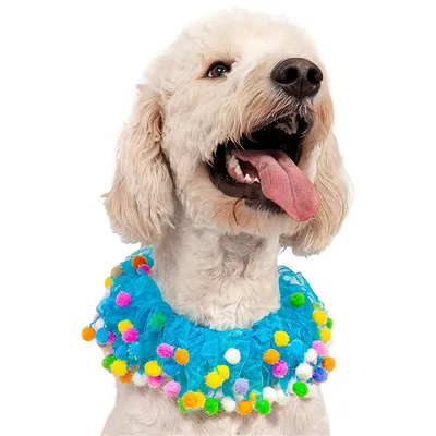 IntiMeg Ensemble de décoration pour fête