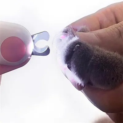 IntiMeg Ciseaux à ongles pour animaux - Avec LED