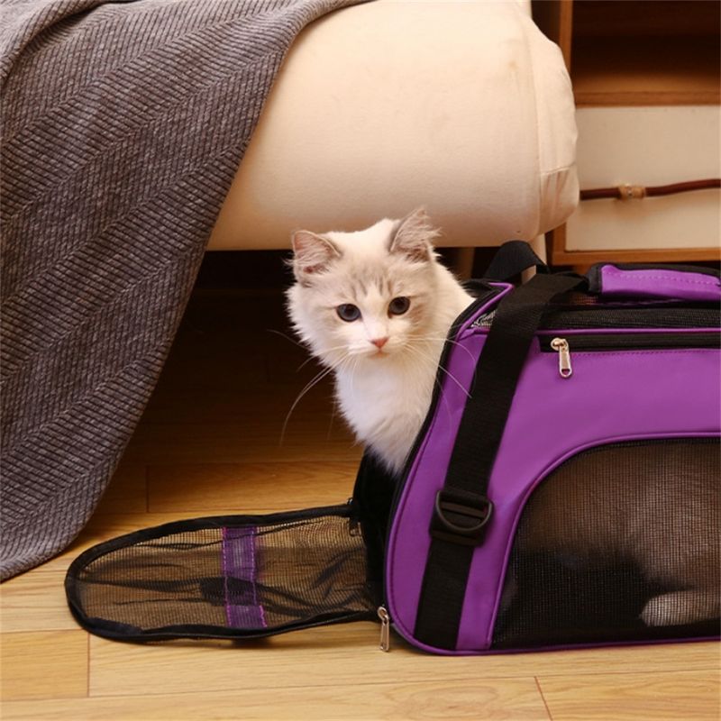 IntiMeg Sac de transport pour animaux de compagnie