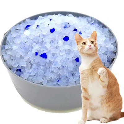 IntiMeg - Chatons sable absorbant sans odeur