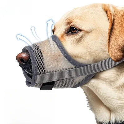 IntiMeg - Garde - bouche pour chien en matériau durable IntiMeg - Garde - bouche pour chien en matériau durable