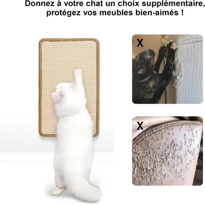 IntiMeg Alfombrilla rascador para gatos de 50 x 30 cm