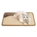 IntiMeg Kratzmatte für Katzen 50 x 30 cm